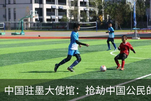 中国驻墨大使馆：抢劫中国公民的两名嫌疑人中 一人已经落网